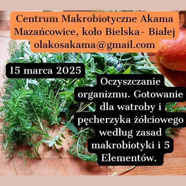 patroni reklama 0003 ola kos